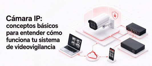 Cámara IP: conceptos básicos para entender cómo funciona tu sistema de videovigilancia